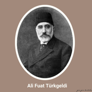 Ali Fuat Türkgeldi